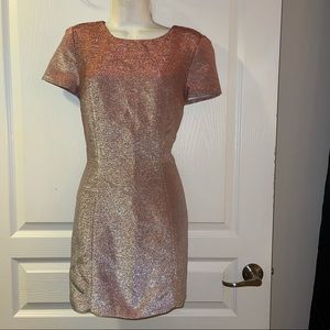 Express Ombre Glitter Alter Back Dress Size 8